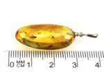 Amber pendant with large MOSQUITO inclusion - Image 6