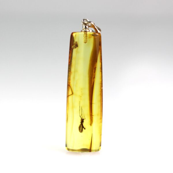 Gintarinis pakabukas su inkliuzu