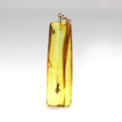 Gintarinis pakabukas su inkliuzu