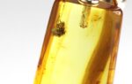 Amber pendant with large MOSQUITO inclusion - Image 3