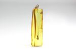 Amber pendant with large MOSQUITO inclusion - Image 7