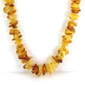 gydomieji gintaro karoliai