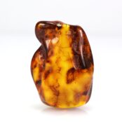 Baltijos gintaro gabaliukas