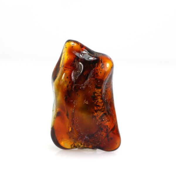 Baltijos gintaro gabaliukas