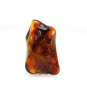 Baltijos gintaro gabaliukas