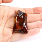 Baltijos gintaro gabaliukas