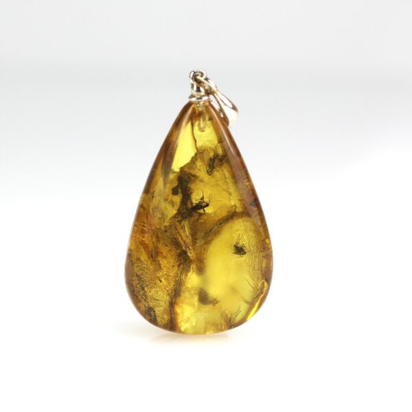 Gintarinis pakabukas su inkliuzu
