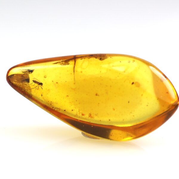 Gintaras su inkliuzu