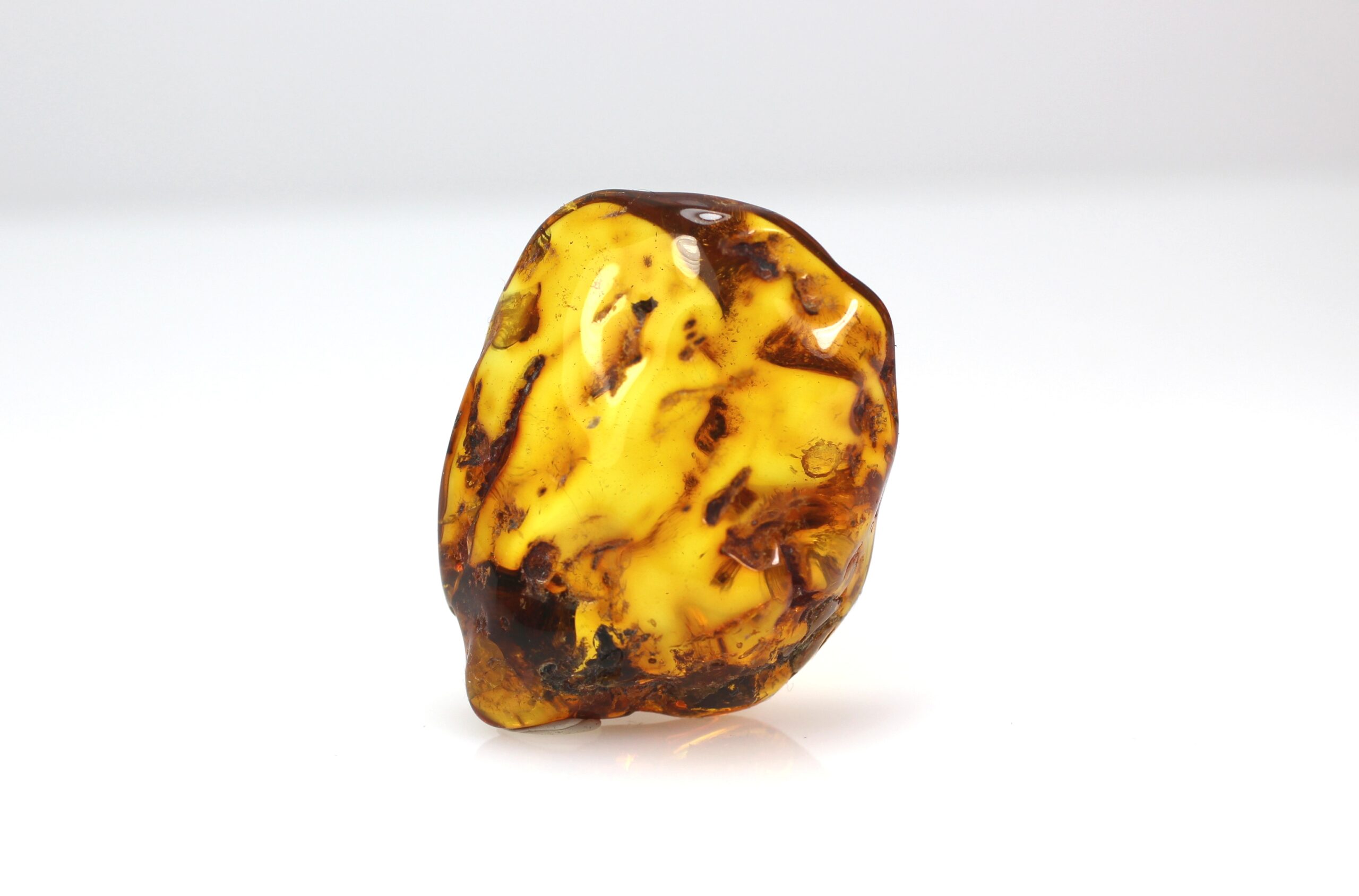 IMG_1692 Baltijos gintaro gabaliukas