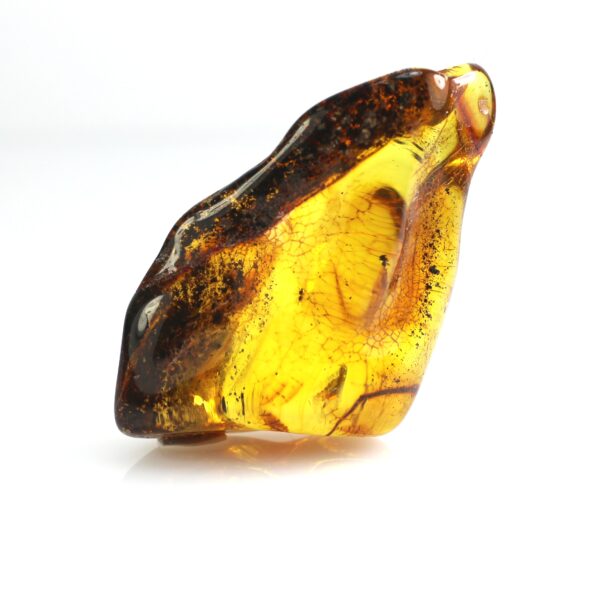 Baltijos gintaro gabaliukas su inkliuzu