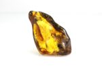 Baltijos gintaro gabaliukas su inkliuzu - Image 6