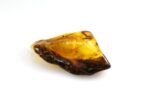 Baltijos gintaro gabaliukas su inkliuzu - Image 4