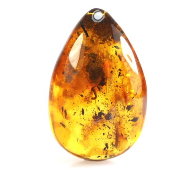 Gintaro gabaliukas su LAŠALO ephemeroptera inkliuzu