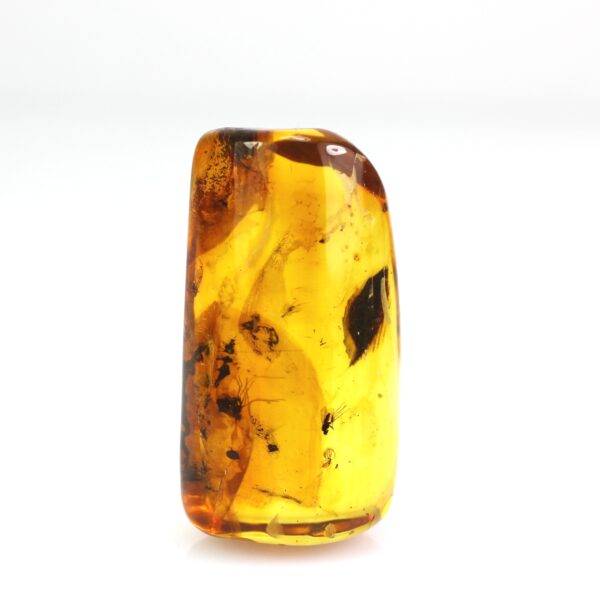 Didesnis gintaras su keliais inkliuzais