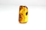 Didesnis gintaras su keliais inkliuzais - Image 2