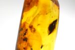 Didesnis gintaras su keliais inkliuzais - Image 13