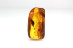 Didesnis gintaras su keliais inkliuzais - Image 7
