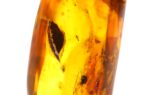 Didesnis gintaras su keliais inkliuzais - Image 5