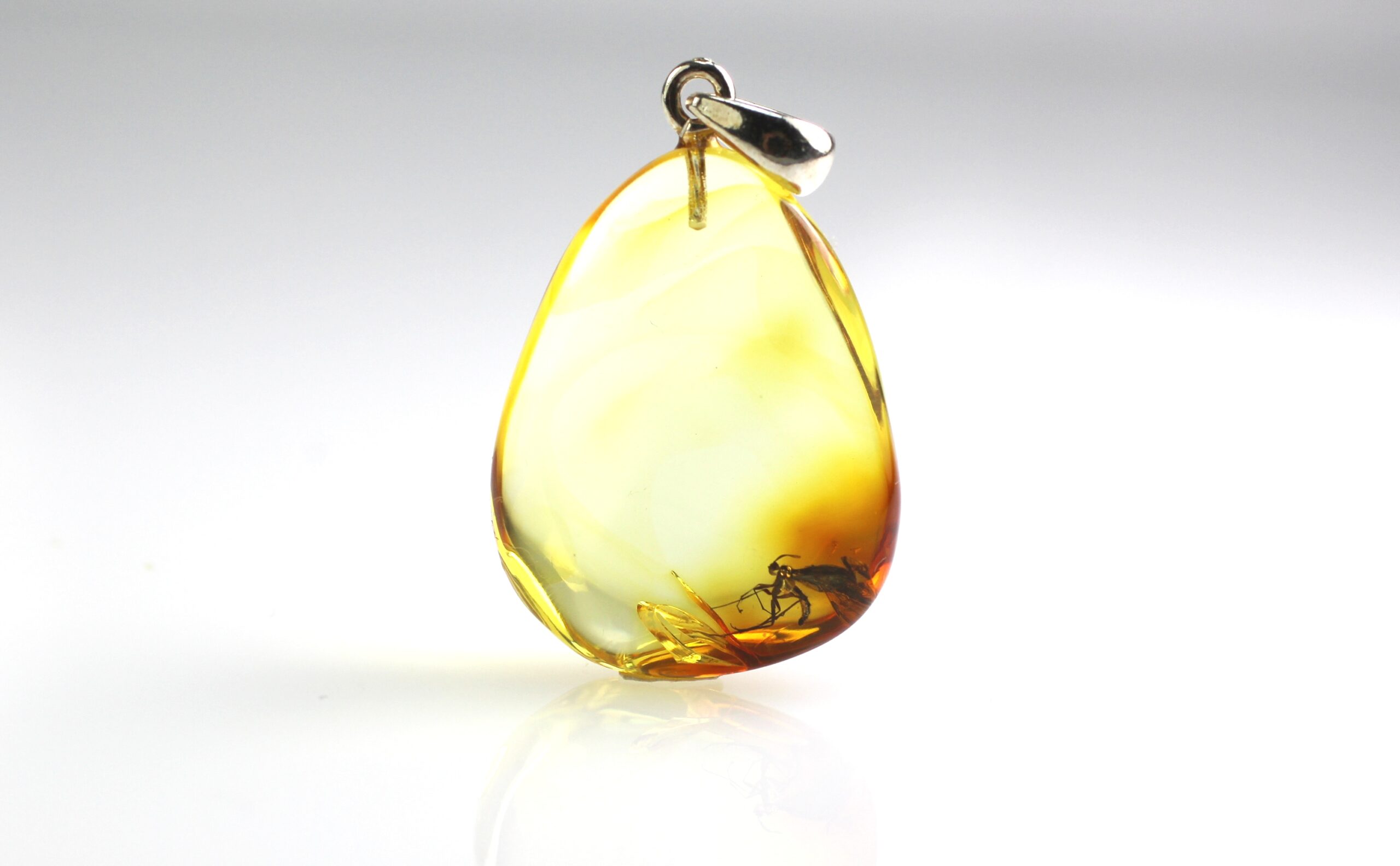 IMG_1738 Gintarinis pakabukas su vapsvos inkliuzu