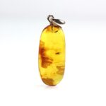 Gintarinis pakabukas su inkliuzu