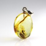 Gintarinis pakabukas su inkliuzu