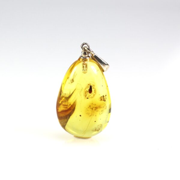 Gintarinis pakabukas su inkliuzu
