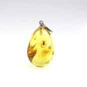 Gintarinis pakabukas su inkliuzu