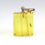 Gintarinis pakabukas su inkliuzu