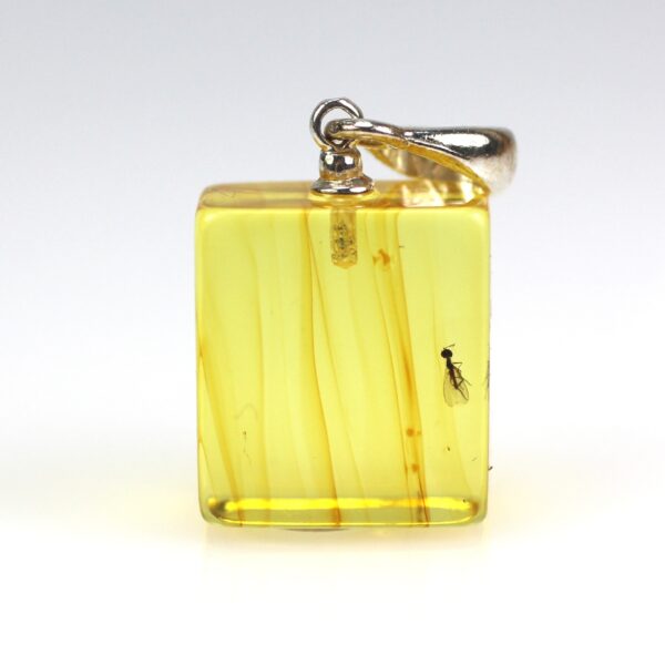 Gintarinis pakabukas su inkliuzu