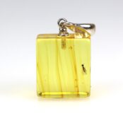 Gintarinis pakabukas su inkliuzu