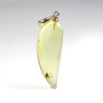 Ilties formos gintarinis pakabukas