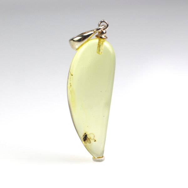 Ilties formos gintarinis pakabukas