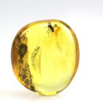 Gintaro gabaliukas su musės inkliuzu