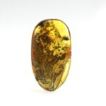 Gintaro gabaliukas su musės inkliuzu