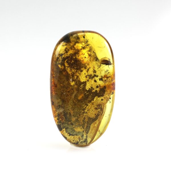 Gintaro gabaliukas su musės inkliuzu