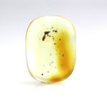 Gintaro gabaliukas su mažo voro inkliuzu