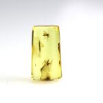 Gintaras su inkliuzais