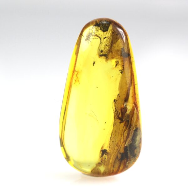 Gintaras su keliais inkliuzais