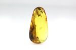 Baltic amber stone with few insects inclusions - Image 10