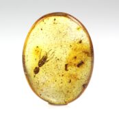 Gintaro gabaliukas su inkliuzu