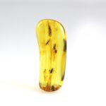 Gintaras su inkliuzais