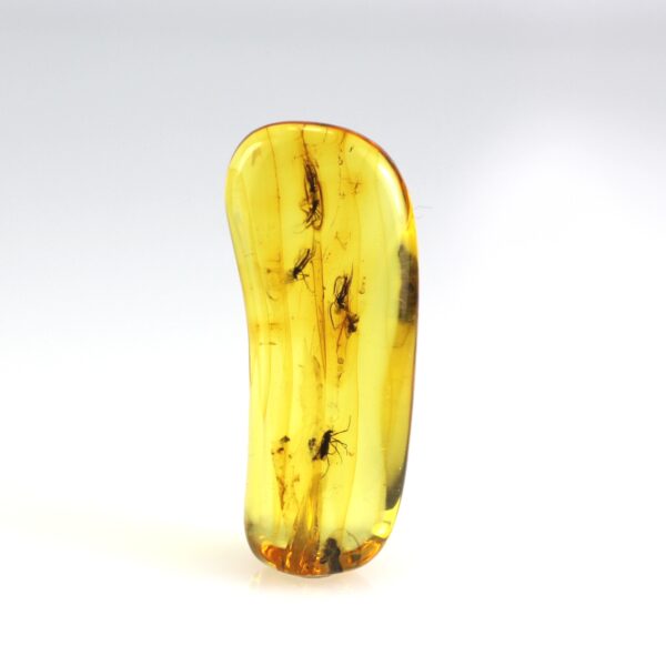 Gintaras su inkliuzais