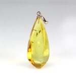 Gintarinis pakabukas su inkliuzu