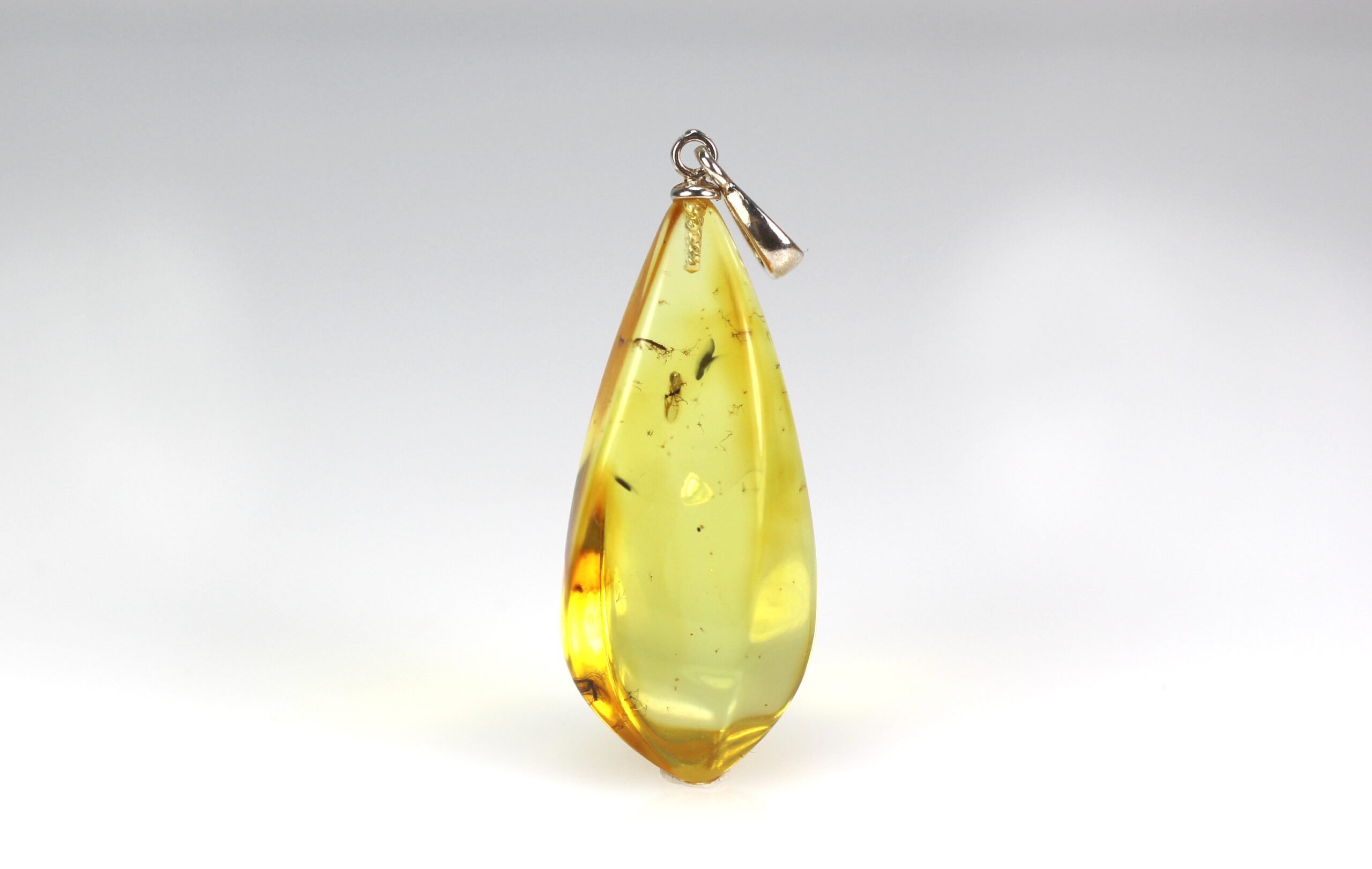 IMG_1951 Gintarinis pakabukas su inkliuzu