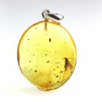 Gintarinis pakabukas su inkliuzu