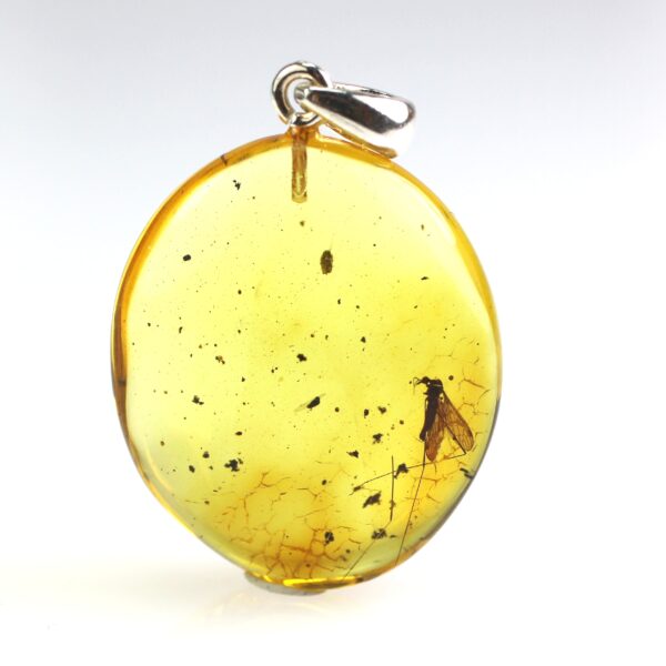 Gintarinis pakabukas su inkliuzu