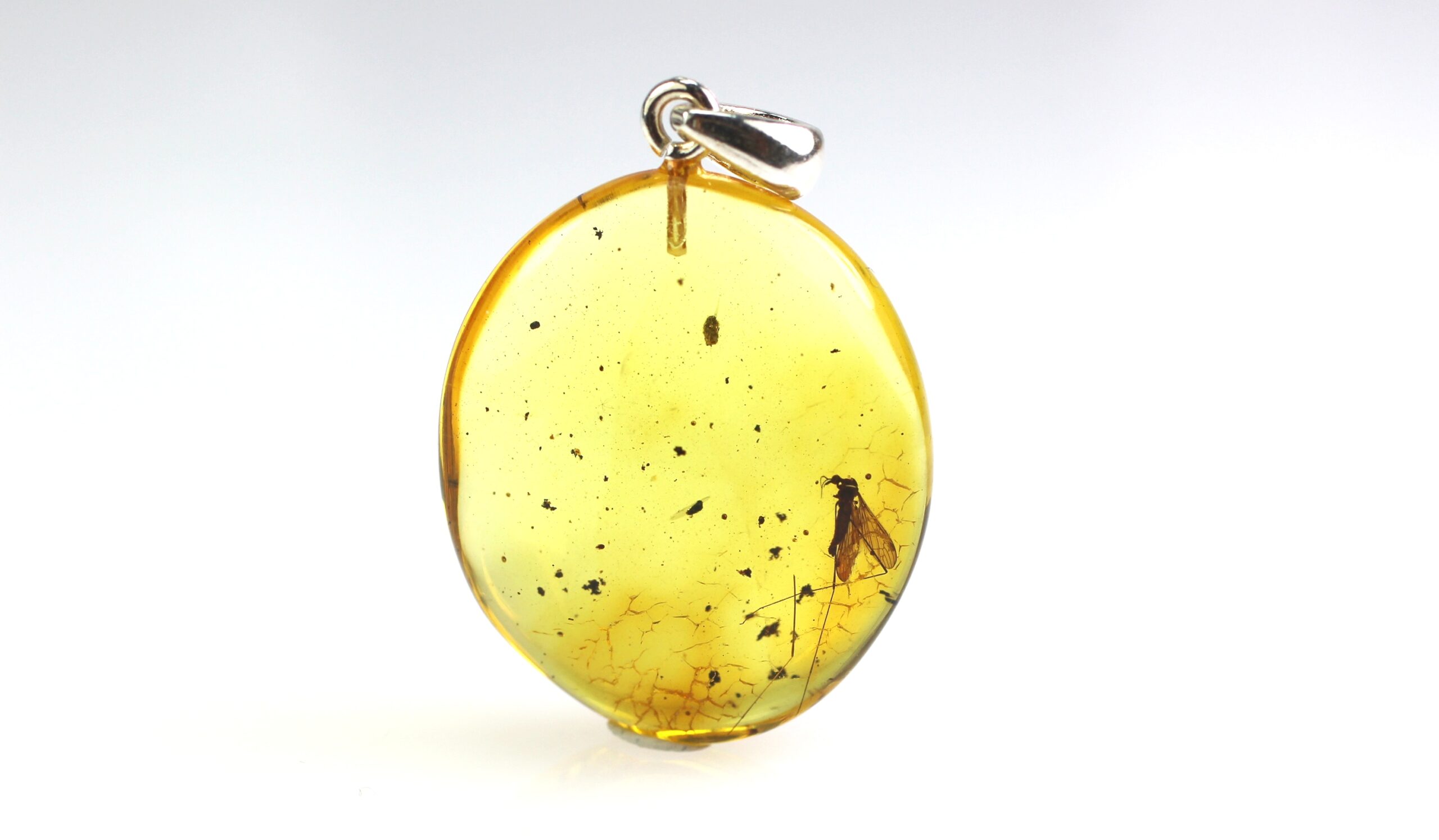 IMG_1961 Gintarinis pakabukas su inkliuzu