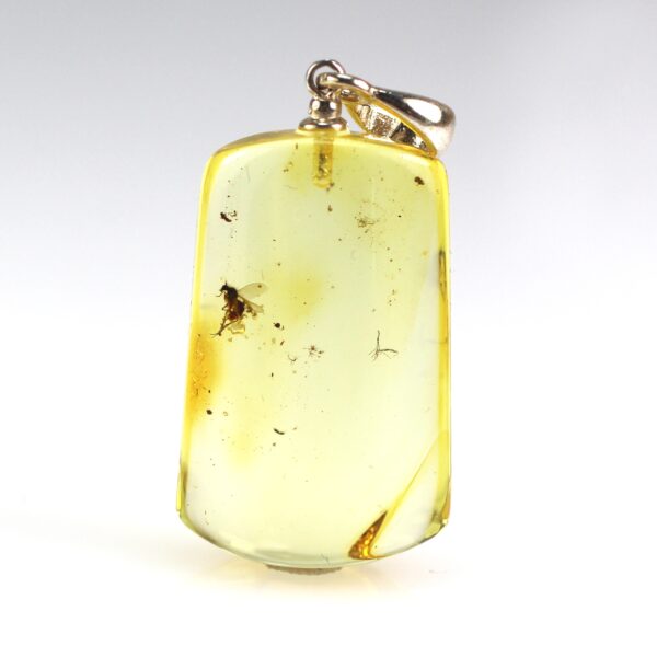 Gintarinis pakabukas su musės inkliuzu