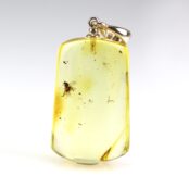 Gintarinis pakabukas su musės inkliuzu