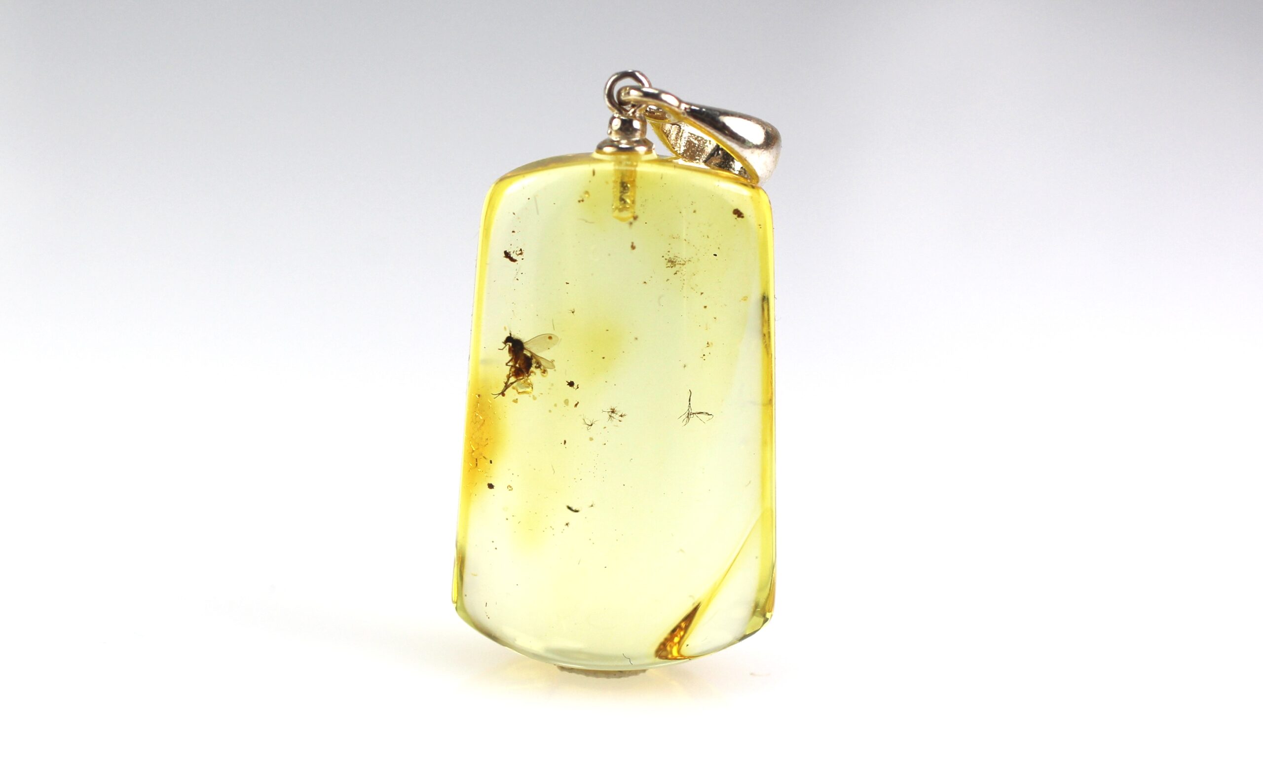 IMG_1971 Gintarinis pakabukas su musės inkliuzu